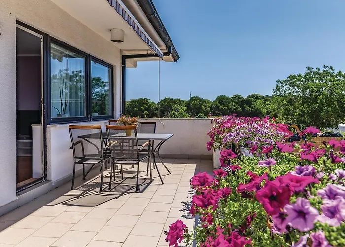 Amazing In With Wifi